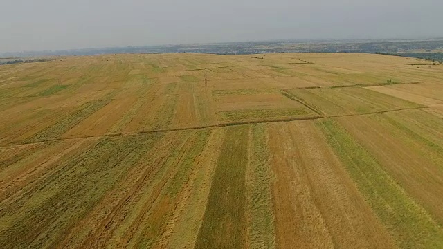 中国西安麦田鸟瞰图。视频素材