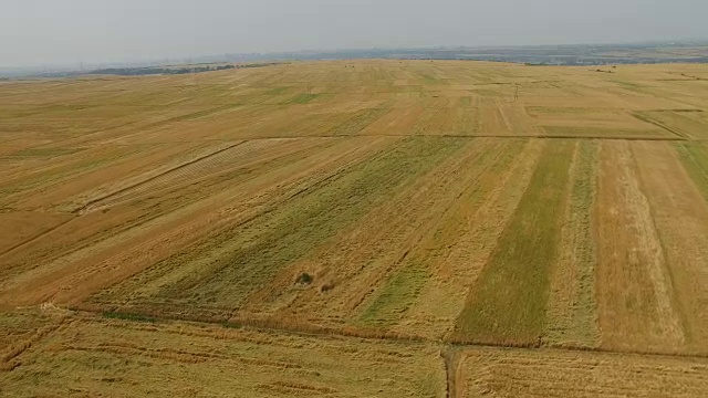 中国西安麦田鸟瞰图。视频素材