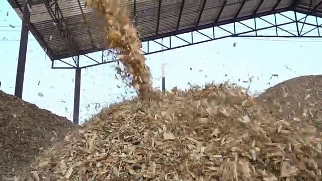 锯尘锯尘视频素材画面1
