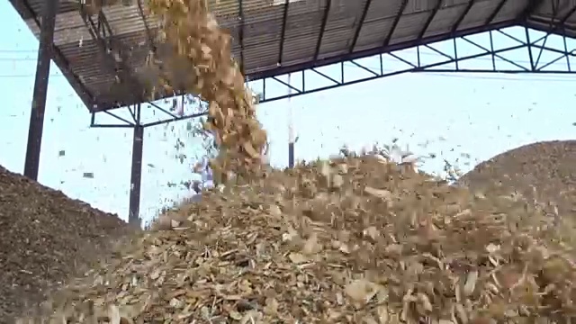 锯尘锯尘视频素材画面2