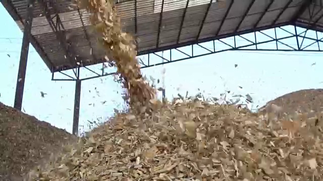 锯尘锯尘视频素材画面3