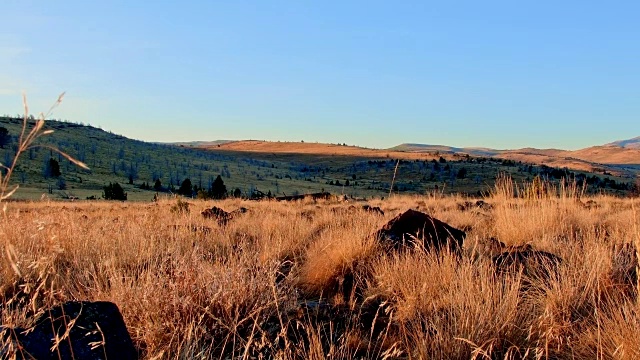 黎明时分，俄勒冈州史汀斯山的高沙漠大盆地视频素材