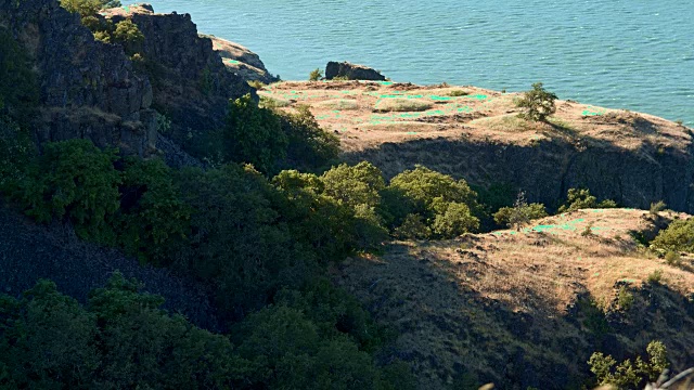 米玛土堆地震土堆2罗威纳克雷斯特哥伦比亚河峡谷野花草地视频素材