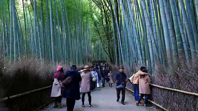 在岚山竹林的人群视频素材