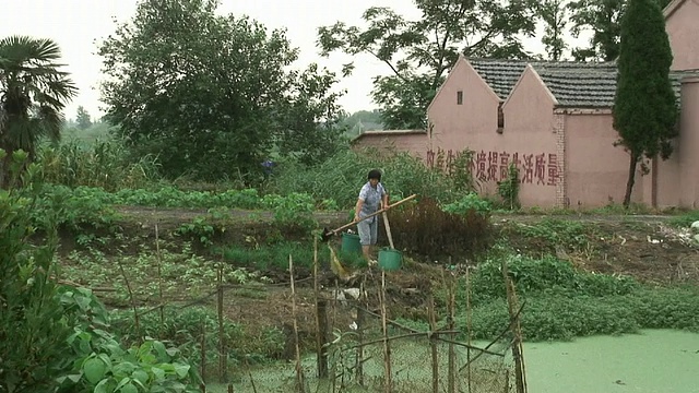 中国苏北，ZO女士在农场用水桶浇植物视频素材