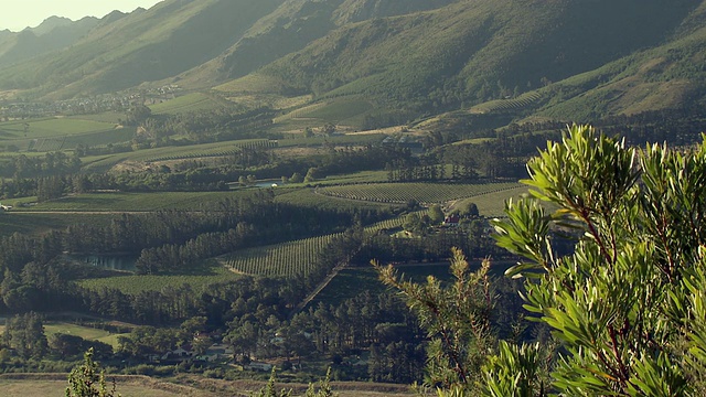 拥有葡萄园的WS HA PAN山谷，Franschhoek，西开普省，南非视频下载