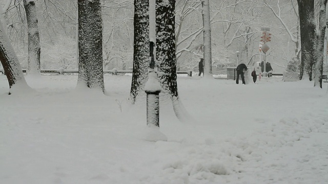 WS PAN中央公园在雪/纽约市，美国纽约视频素材