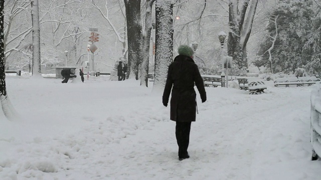 WS PAN中央公园在雪/纽约市，美国纽约视频素材