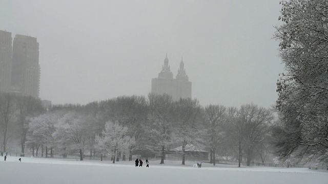 WS TD中央公园在雪/纽约，纽约，美国视频素材