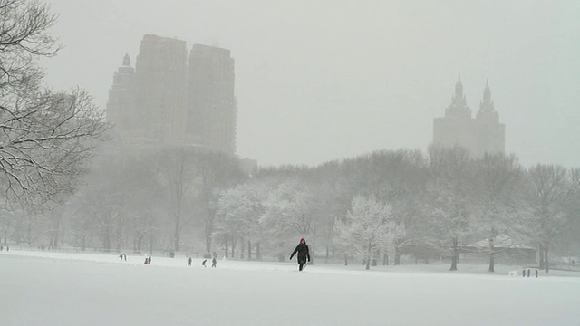 WS PAN中央公园在雪/纽约市，美国纽约视频素材