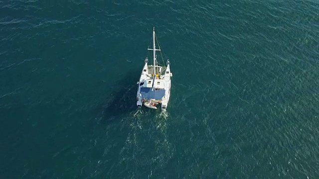 空中鸟瞰图从上面的大型帆船双体船在公海孤立视频素材