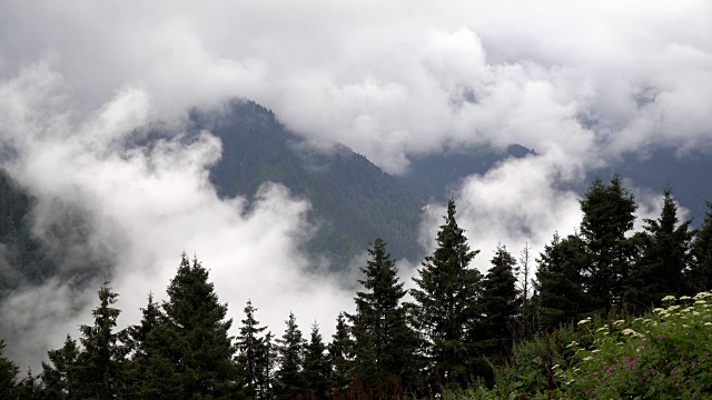 山和雾的时间流逝在波古高原视频素材