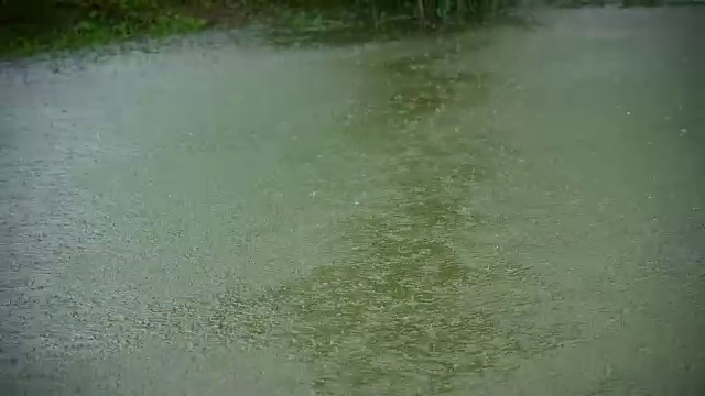 雨落水塘视频素材