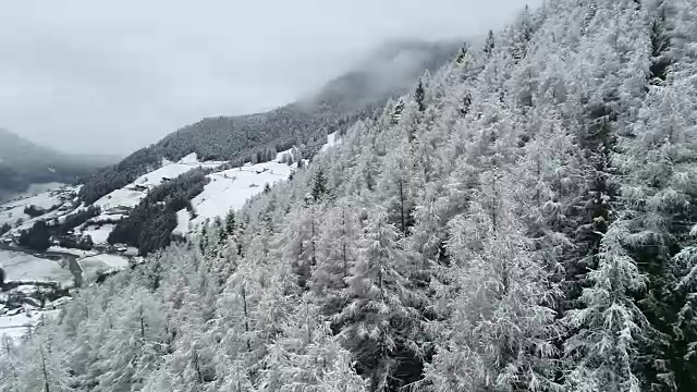 冬天的积雪森林，白云石，意大利视频素材