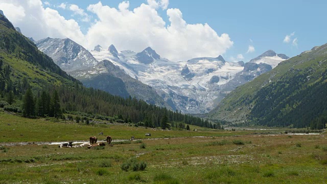 在瑞士的罗斯格山谷徒步旅行视频素材