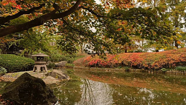 日本花园与池塘Cinemagraph视频素材