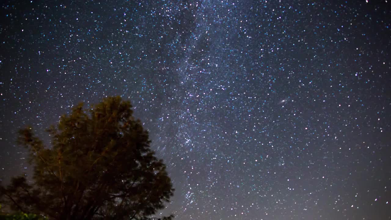 银河夜空-在树梢之上视频素材