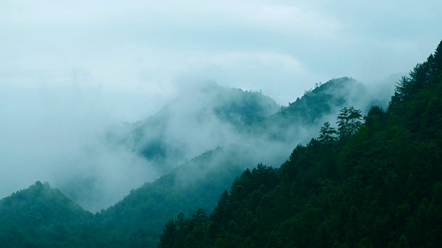 有雾的山地景观视频素材