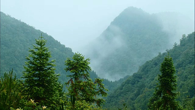 有雾的山地景观视频素材