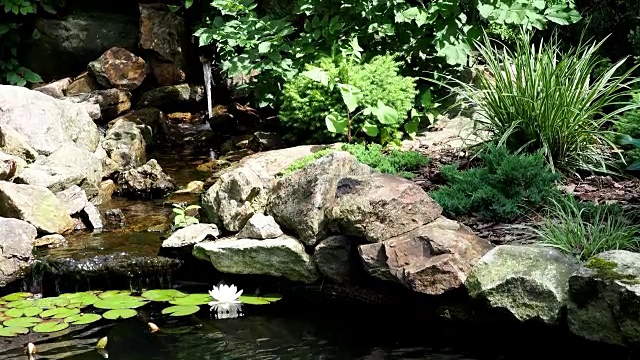 花园瀑布。花园池塘与水花。美丽的池塘在后院周围的石头。视频素材