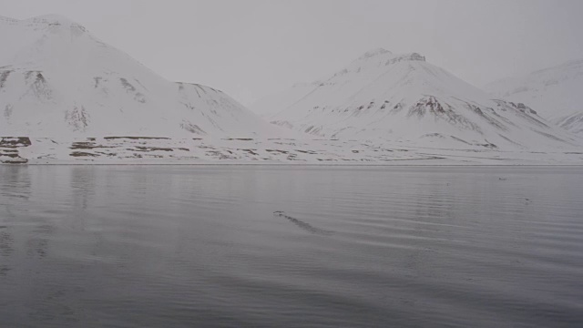 斯瓦尔巴特群岛上的雪山和大海视频素材