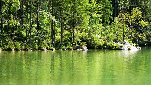 夏天的德国内陆湖视频素材