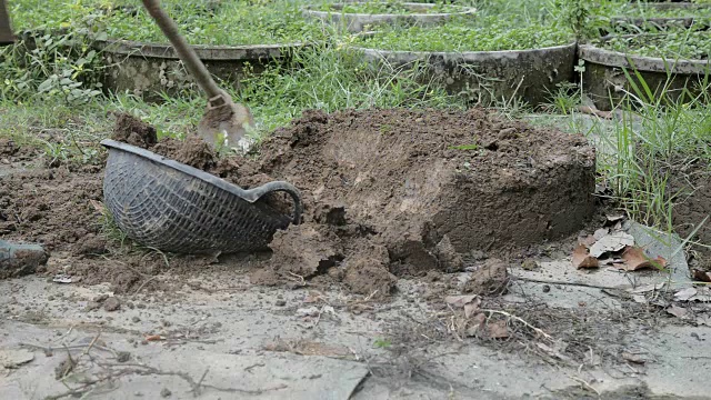 农民用桶在地上挖土视频下载