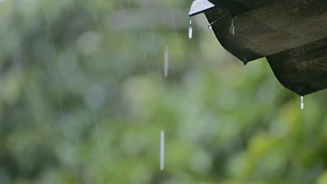 屋顶和雨视频下载