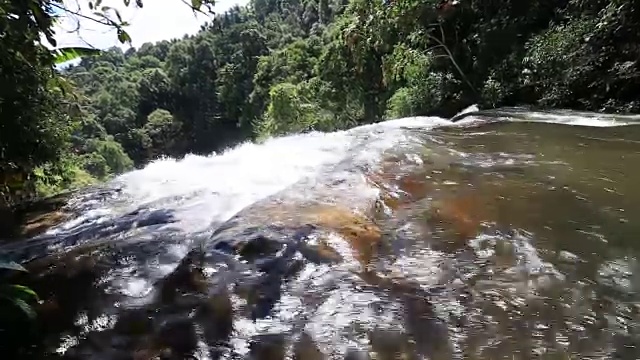 雨林中的流水视频素材