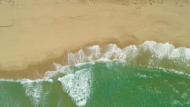 拷贝空间:飞翔在碧绿的海浪冲刷着空旷的沙滩上。视频素材