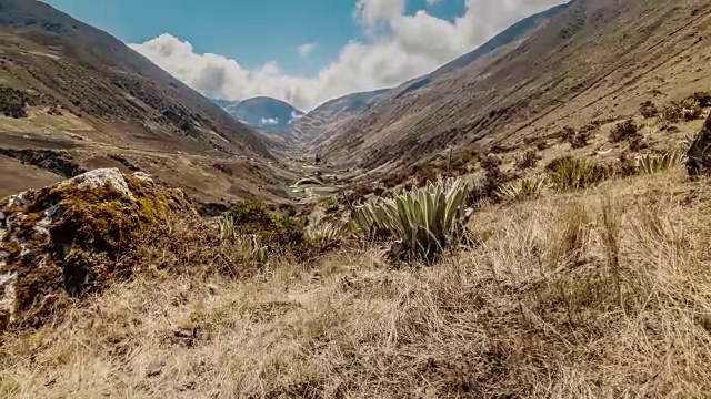 加维迪亚山谷的时间流逝。梅里达,委内瑞拉。Frailejon是一种特有的植物，生长在海拔2800米以上的地方，在南美洲的洛斯安第斯山脉随处可见。视频素材