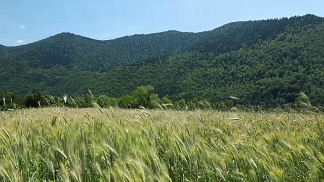 法国阿尔卑斯山脉的丘钦和小Autane与Les Faix村，Champsaur，法国阿尔卑斯山在夏天的全景。Hautes-Alpes视频素材