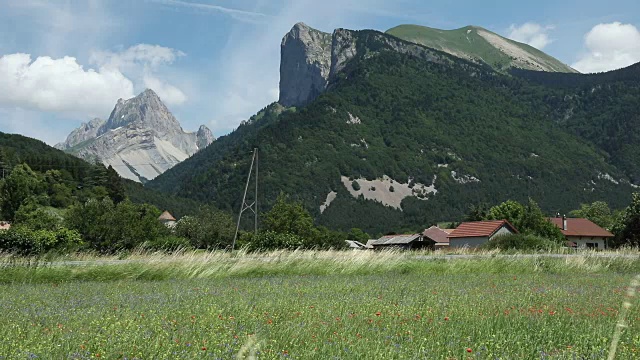 夏天，在法国阿尔卑斯的Champsaur的Les Faix村，在Cuchon和Petite Autane山上，小麦在吹。Hautes-Alpes视频素材