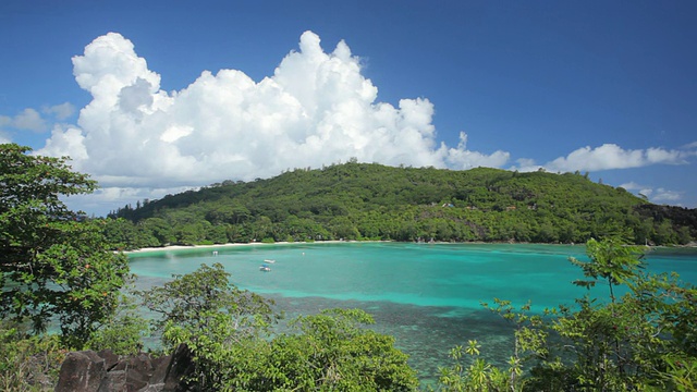 热带海湾宽视频素材