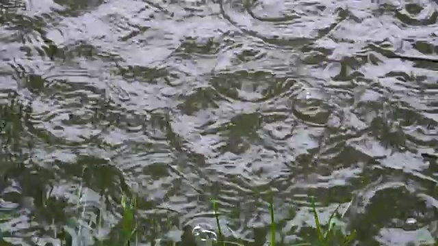 慢镜头，一个阴沉的秋日，雨点落进水里。从上往下看。视频素材