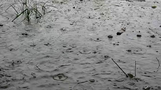 罕见的大雨滴落进河里的黑色水中。水中漂浮着草和碎片。缓慢的运动。视频素材