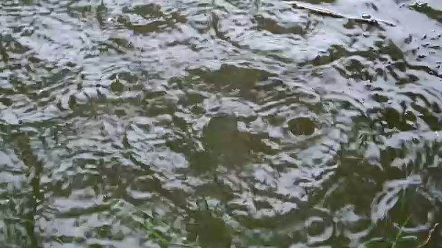 在一个多云的秋日里，巨大的雨滴从上面落进了黑暗的水中。水中，漂浮着青草和树叶。缓慢的运动。视频素材