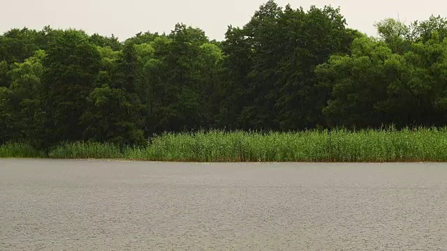 雨水天气的河流和树木的观点视频素材