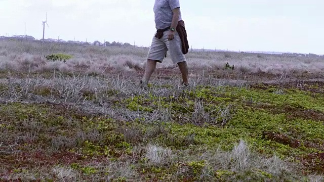 在海边散步的老年男性视频素材