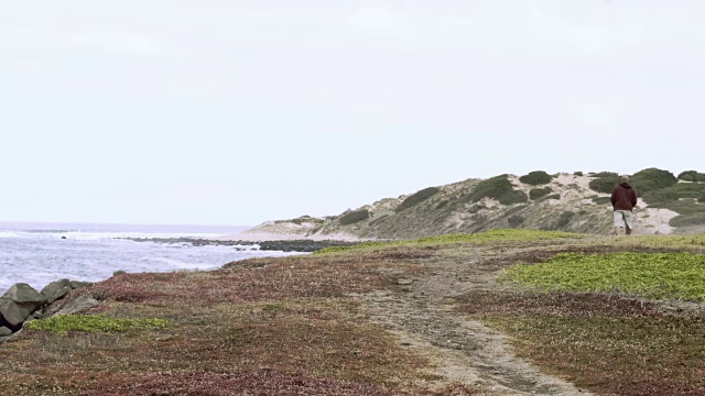 沿着海岸线行走的老年男性视频素材