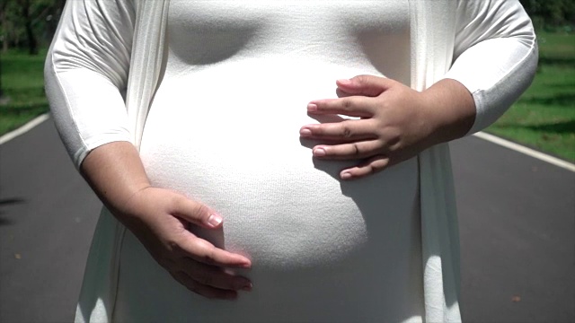 幸福的孕妇视频素材画面4