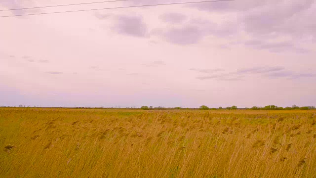 全景黄色的秋天的田野和乌云密布的天空与灰色的云景观视频素材