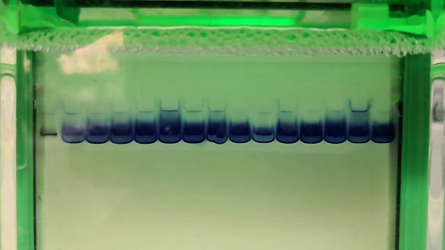 电泳分离蛋白质的科学实验视频素材画面1