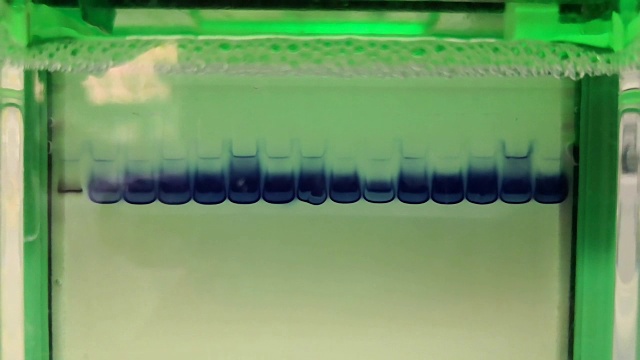 电泳分离蛋白质的科学实验视频素材画面2