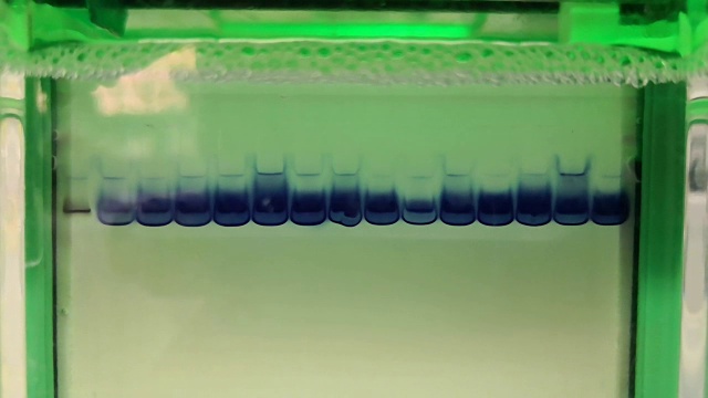电泳分离蛋白质的科学实验视频素材画面3