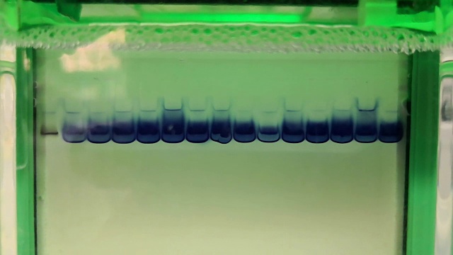 电泳分离蛋白质的科学实验视频素材画面4