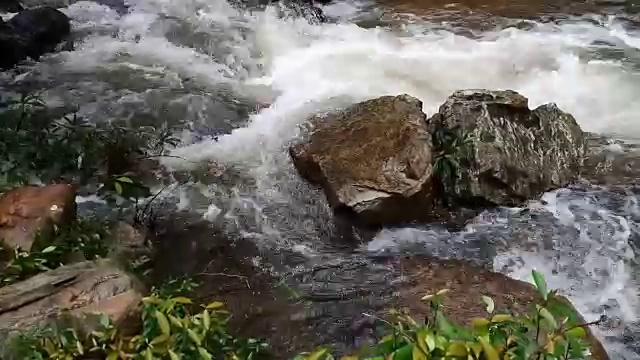 雨林中的流水视频素材