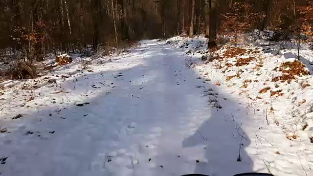 在冬季森林里骑山地自行车视频素材