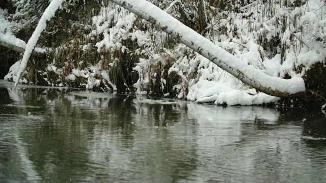 河堤被雪覆盖着。下雪的冬天的公园。视频素材