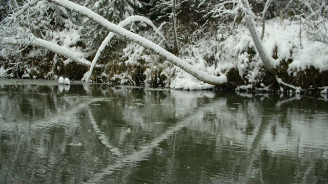 河堤被雪覆盖着。下雪的冬天的公园。视频素材